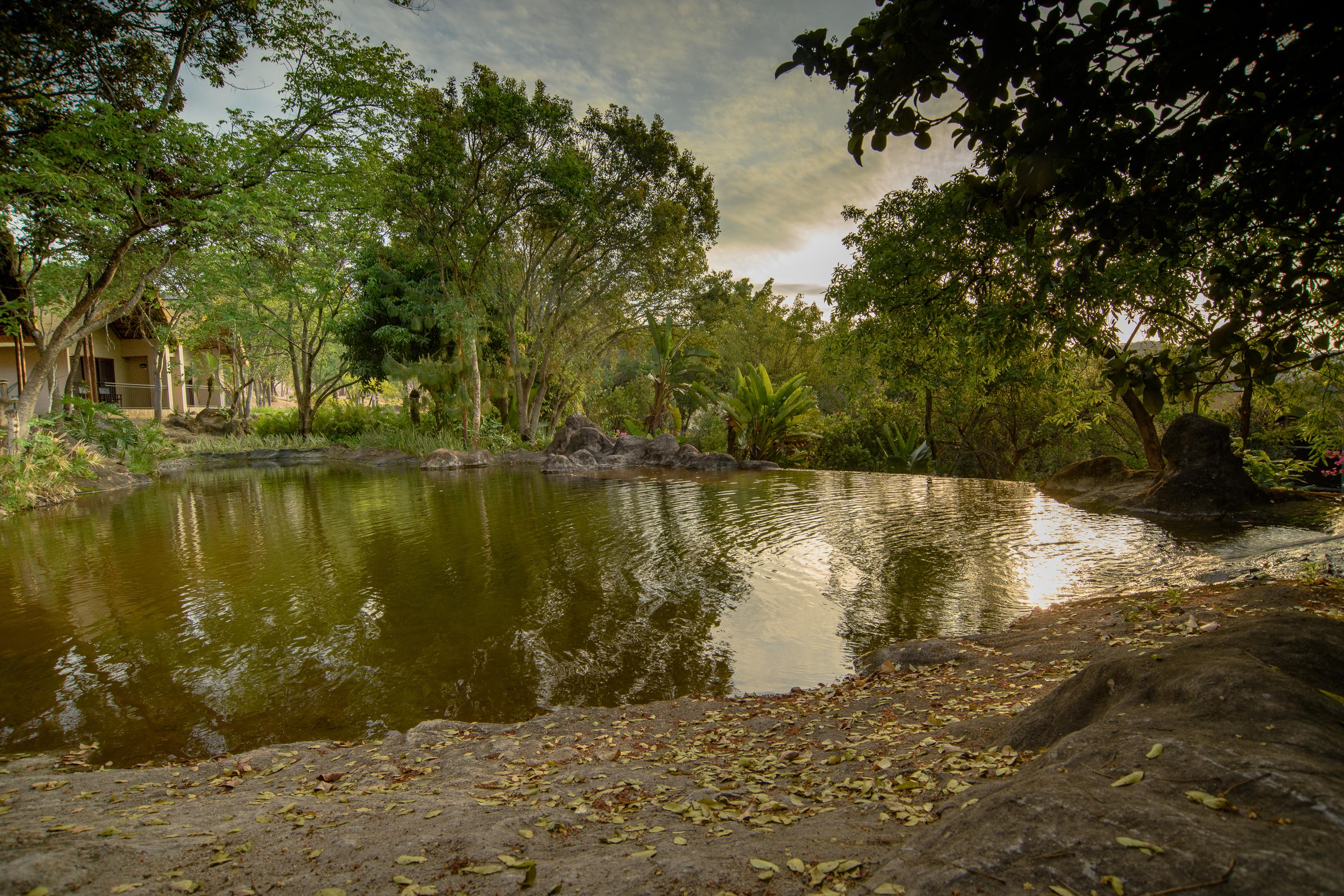 Umbhaba Eco Lodge Hazyview Dış mekan fotoğraf